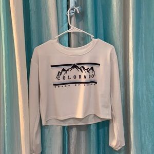 Long sleeve crop